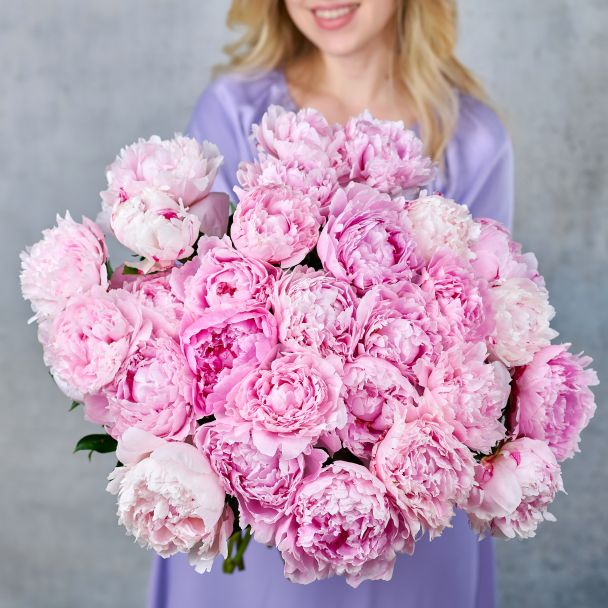 Пионы розовые