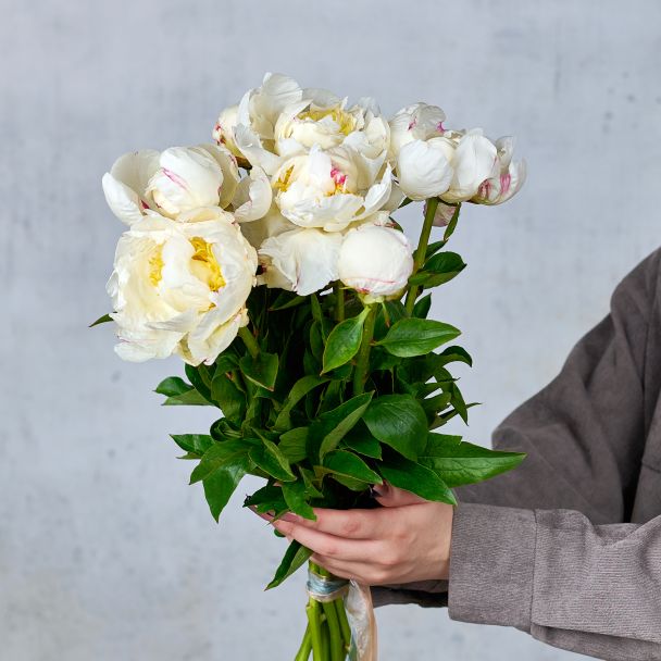 Букет из 9 пионов