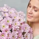 Кустовая хризантема "Оптимист"