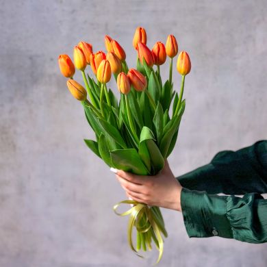 Комбо 17 тюльпанов, игрушка, конфеты